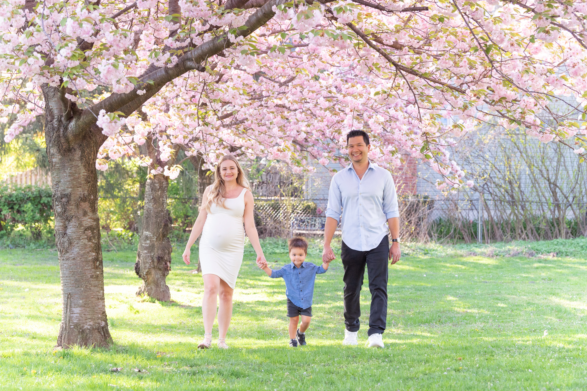 A family of three walking under the cherry blossom tree.