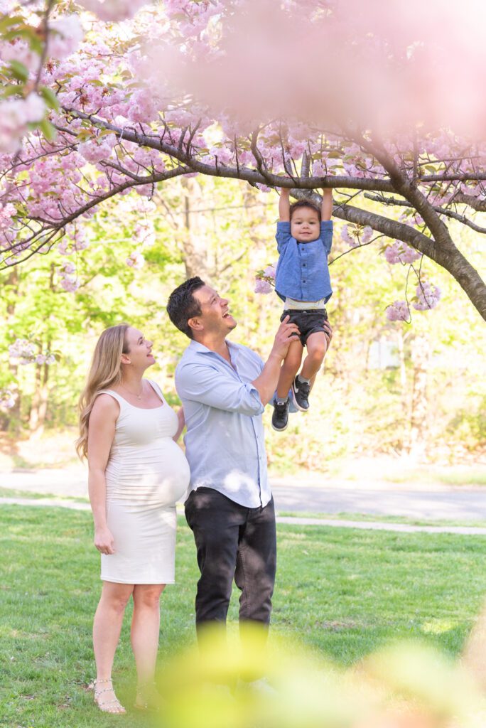 A boy climbing a cherry blossom tree while his dad is holding him and his mom is watching next to the dad.